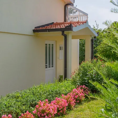 Piljak * إيموتسكي